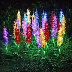 multicolored flowers are lit up at night in the garden with green grass and bushes