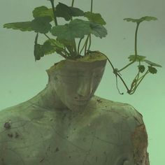 a plant growing out of the back of a human head