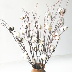 a vase filled with white flowers on top of a table