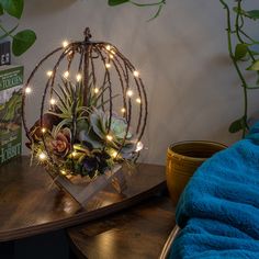 DIY Light Ball Terrarium Lamp in Reading Nook Light Balls Diy, Terrarium Light, Christmas Light Balls, Terrarium Lamp, Light Balls Christmas, Easy Outdoor Christmas Decorations, Cactus Lamp, Diy Terrarium