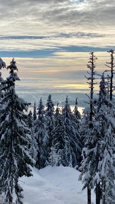 Partly cloudy sky. Sunset. Looking over Vancouver at the top of a mountain. Many trees covered in snow. Winter In Vancouver, Snowing Aesthetic Wallpaper, Aesthetic Skyline, Top Of Mountain, Canada Mountains, Canada Snow, Sunset Trees, Snow Aesthetic, Mountain Aesthetic