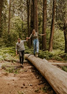 two people walking across a log in the woods