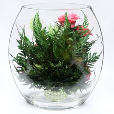 a glass vase filled with plants and flowers