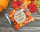 candy candies in cellophane bags with fall leaves and pumpkins around them