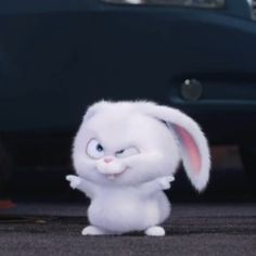 a small white rabbit standing on its hind legs