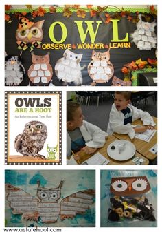 an owl themed birthday party with owls on the wall and other items for kids to make