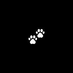 an animal paw print on a black background