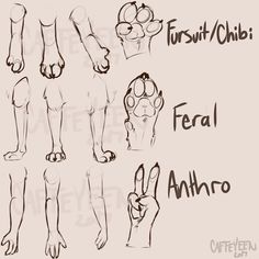 an image of different types of feet and hands