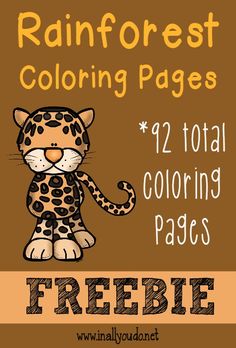 the freebie rainforest coloring pages are available for kids and adults to color in with