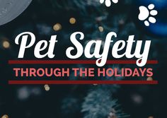 a christmas tree with the words pet safety through the holidays