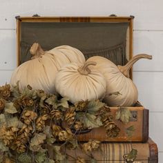 two pumpkins are sitting on top of some books and other things in a suitcase