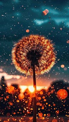 a dandelion with the sun shining through it and rain falling down on it