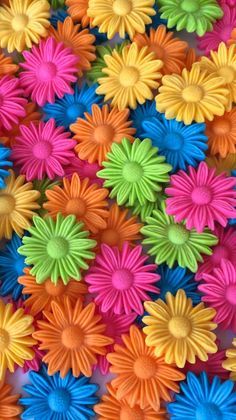 many different colored flowers are arranged together