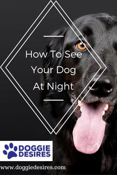 a black dog with its tongue out and the words how to see your dog at night