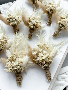 dried flowers are arranged on a white tray