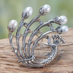 NOVICA - Pearl & Sterling Silver Peacock Brooch Peacock Brooch, Peacock Jewelry, Printed Jewelry, Bird Jewelry, Pearl Brooch, Trendy Earrings, Freshwater Cultured Pearls, Peacocks, Jewelry Packaging