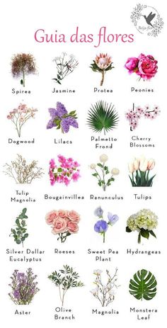 an illustrated guide to different types of flowers and their names on a white background with the title