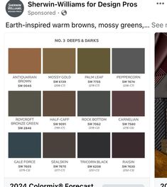 the color scheme for sherylin - williams's design pros is shown