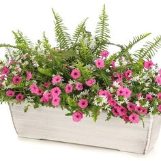 a planter filled with pink and white flowers