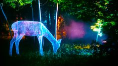 an illuminated deer in the middle of a forest with trees and lights on it's back