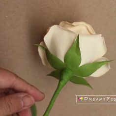 18 tutorials to make paper roses, free template – DreamyPosy.com Rose Template Free Printables, Rose Petal Template, Diy Flower Template, Paper Flower Origami, Free Paper Flower Templates, Flower Origami, Paper Rose Template, Paper Flower Arrangements