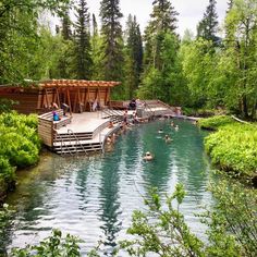 people are swimming in the water near a wooden dock and some green trees on either side