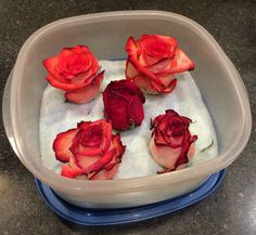 four red roses are placed in a bowl with soap on the bottom and water inside