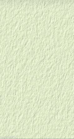 an image of a white wall textured with light green paint and some black dots