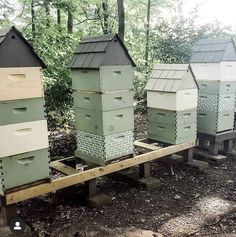 several beehives are lined up on a wooden platform in front of some trees