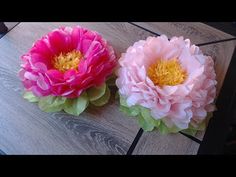 two pink and green flowers sitting on top of a wooden table next to each other