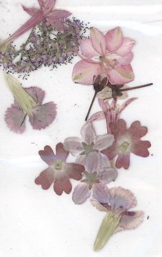 some pink and purple flowers on a white surface