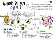 an image of what is an api? with bees and flowers around it, labeled in the following words