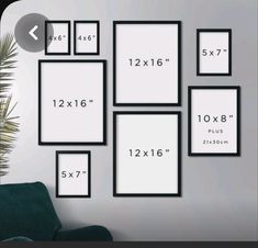 a wall with six frames hanging on it next to a plant