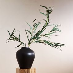 a black vase with some green plants in it