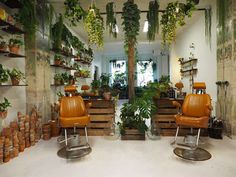 a room filled with lots of potted plants