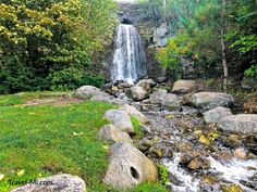 a small waterfall in the middle of a lush green forest filled with rocks and trees