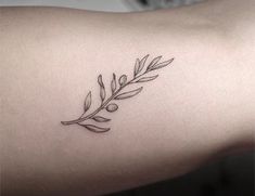 a woman's arm with an olive branch tattoo on the left side of her arm