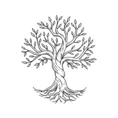 a drawing of a tree with roots