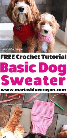 two dogs wearing knitted sweaters with text overlay that reads free crochet pattern basic dog sweater