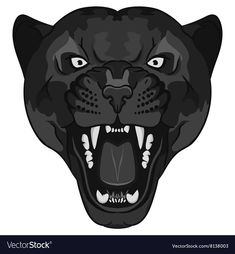 black panther head with open mouth and teeth on white background, clipping to the side