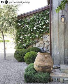 a stone wall with white flowers growing on it next to a potted planter