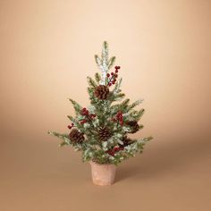 a small potted christmas tree with pine cones and berries