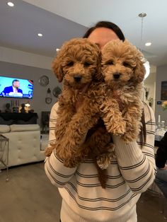 a woman holding two dogs in her arms