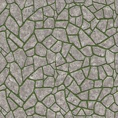 an image of a stone pavement with grass growing on it's sides and in the middle