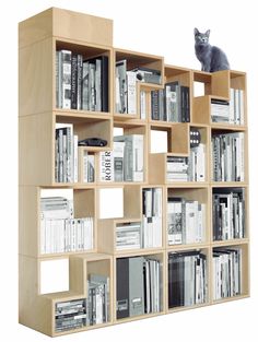 a cat sitting on top of a book shelf filled with books