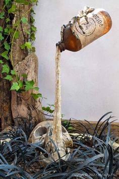 a bottle that is pouring water into a skull in the ground next to some plants