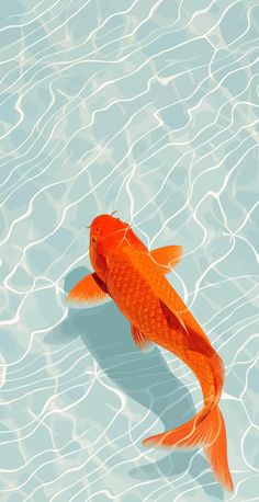 an orange fish is swimming in the blue water with ripples on it's surface