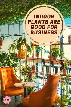 there is a sign that says indoor plants are good for business on the wall behind two orange chairs