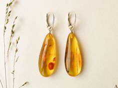 Natural Baltic amber fresh light cognac color beautiful teardrop shape earrings with insects inside. An exclusive pair of earrings - like a real museum, where mosquitos from 40million years got stuck.  Made with silver 925 findings they create not only historical but also visual value. Each drop is a bit different in size, so we've written the bigger one's size below.  MATERIALS AND SIZE: Stone: 100% Natural Baltic Amber Findings: sterling silver 925 Amber Teardrop Earrings Gift, Amber Teardrop Earrings As A Gift, Amber Teardrop Drop Earrings For Gift, Hypoallergenic Amber Teardrop Earrings, Amber Teardrop Earrings, Amber Teardrop Baltic Amber Earrings, Teardrop Baltic Amber Earrings, Teardrop Baltic Amber Earrings In Amber, Teardrop Earrings With Natural Inclusions