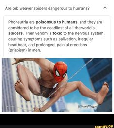 an image of a spider man in the air